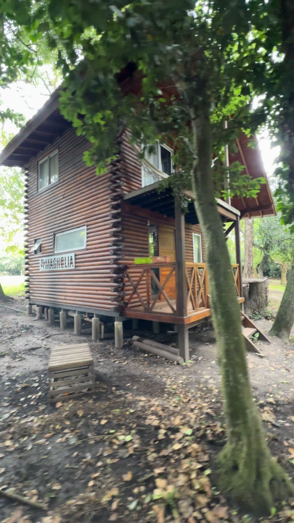 IMPORTANTE COMPLEJO DE CABAÑAS - foto 3